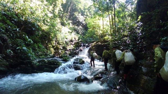 Dấu chân 'thép' của những chiến sĩ bảo vệ rừng Pù Mát giữa đại ngàn- Ảnh 3. Dấu chân 'thép' của những chiến sĩ bảo vệ rừng Pù Mát giữa đại ngàn- Ảnh 3.