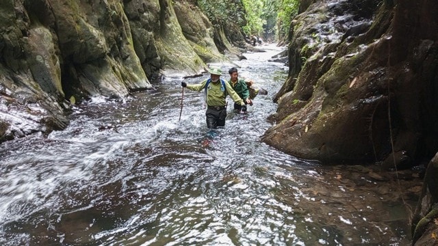 Dấu chân 'thép' của những chiến sĩ bảo vệ rừng Pù Mát giữa đại ngàn- Ảnh 8. Dấu chân 'thép' của những chiến sĩ bảo vệ rừng Pù Mát giữa đại ngàn- Ảnh 8.