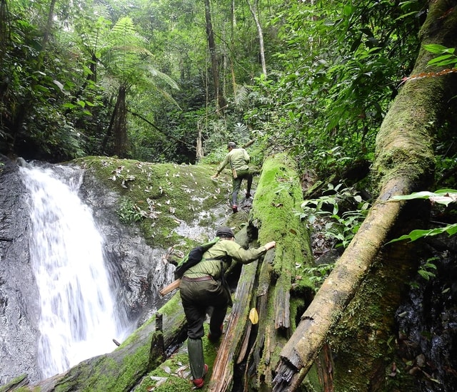 Dấu chân 'thép' của những chiến sĩ bảo vệ rừng Pù Mát giữa đại ngàn- Ảnh 4. Dấu chân 'thép' của những chiến sĩ bảo vệ rừng Pù Mát giữa đại ngàn- Ảnh 4.