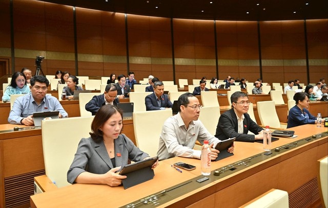 ĐBQH đề nghị phụ nữ sinh đủ 2 con, không giới hạn độ tuổi đều được hưởng chính sách dân số- Ảnh 3. ĐBQH đề nghị phụ nữ sinh đủ 2 con, không giới hạn độ tuổi đều được hưởng chính sách dân số- Ảnh 3.