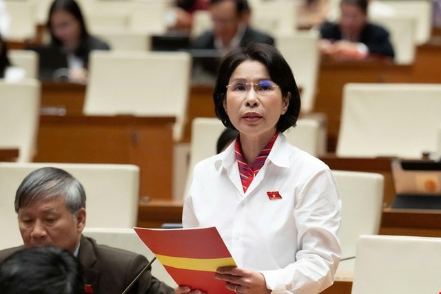 ĐBQH: Luật Phòng bệnh cần đi trước một bước để bảo vệ sức khỏe nhân dân- Ảnh 1.