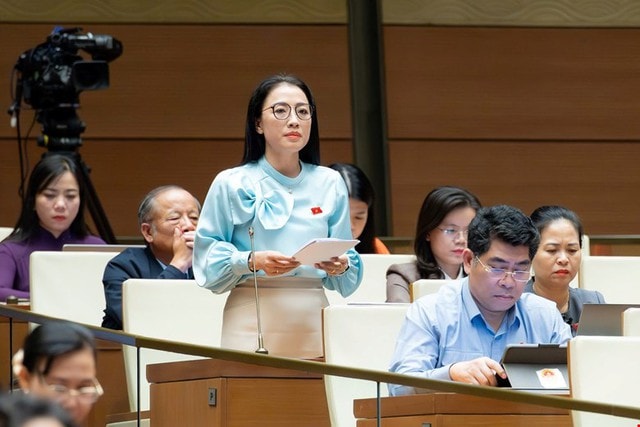 ĐBQH đề nghị phụ nữ sinh đủ 2 con, không giới hạn độ tuổi đều được hưởng chính sách dân số- Ảnh 4. ĐBQH đề nghị phụ nữ sinh đủ 2 con, không giới hạn độ tuổi đều được hưởng chính sách dân số- Ảnh 4.