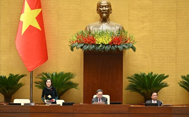 ĐBQH đề nghị phụ nữ sinh đủ 2 con, không giới hạn độ tuổi đều được hưởng chính sách dân số- Ảnh 1. ĐBQH đề nghị phụ nữ sinh đủ 2 con, không giới hạn độ tuổi đều được hưởng chính sách dân số- Ảnh 1.