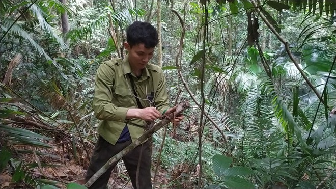 Dấu chân 'thép' của những chiến sĩ bảo vệ rừng Pù Mát giữa đại ngàn- Ảnh 6. Dấu chân 'thép' của những chiến sĩ bảo vệ rừng Pù Mát giữa đại ngàn- Ảnh 6.