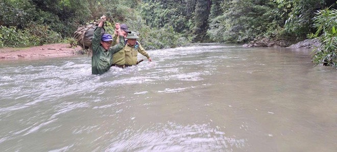 Dấu chân 'thép' của những chiến sĩ bảo vệ rừng Pù Mát giữa đại ngàn- Ảnh 12. Dấu chân 'thép' của những chiến sĩ bảo vệ rừng Pù Mát giữa đại ngàn- Ảnh 12.