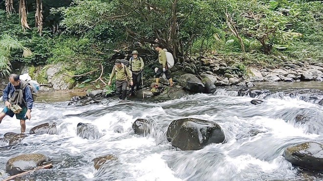 Dấu chân 'thép' của những chiến sĩ bảo vệ rừng Pù Mát giữa đại ngàn- Ảnh 13. Dấu chân 'thép' của những chiến sĩ bảo vệ rừng Pù Mát giữa đại ngàn- Ảnh 13.