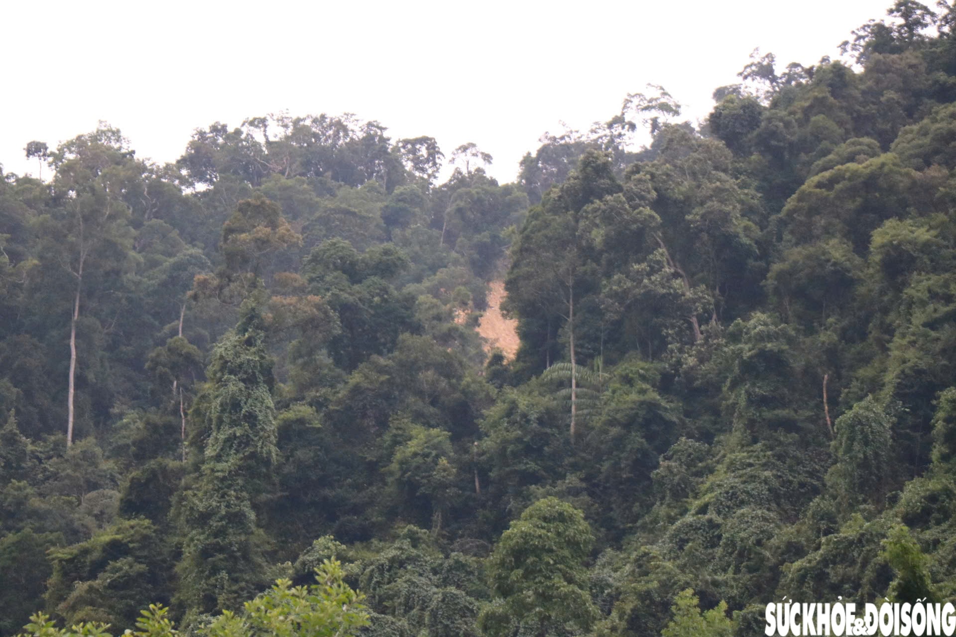 Hiện trường xử lý hàng nghìn mét khối đất đá từ vách núi sạt xuống cao tốc La Sơn - Hòa Liên- Ảnh 4.