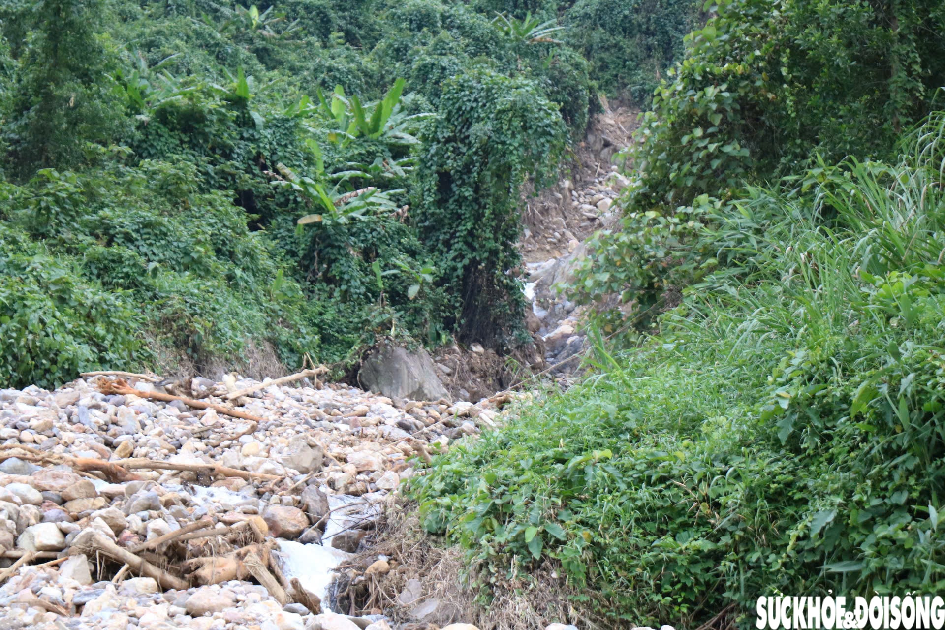 Hiện trường xử lý hàng nghìn mét khối đất đá từ vách núi sạt xuống cao tốc La Sơn - Hòa Liên- Ảnh 5.