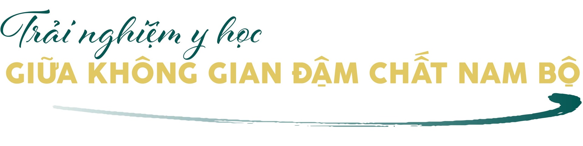 Bệnh viện Y học cổ truyền TPHCM tiên phong kiến tạo mô hình du lịch y tế mang hồn Nam Bộ- Ảnh 4. Bệnh viện Y học cổ truyền TPHCM tiên phong kiến tạo mô hình du lịch y tế mang hồn Nam Bộ- Ảnh 4.