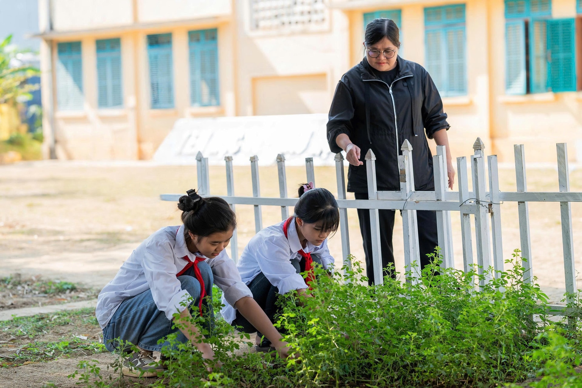 Cô giáo vùng cao 'thắp lửa' khởi nghiệp xanh từ dược liệu- Ảnh 1. Cô giáo vùng cao 'thắp lửa' khởi nghiệp xanh từ dược liệu- Ảnh 1.