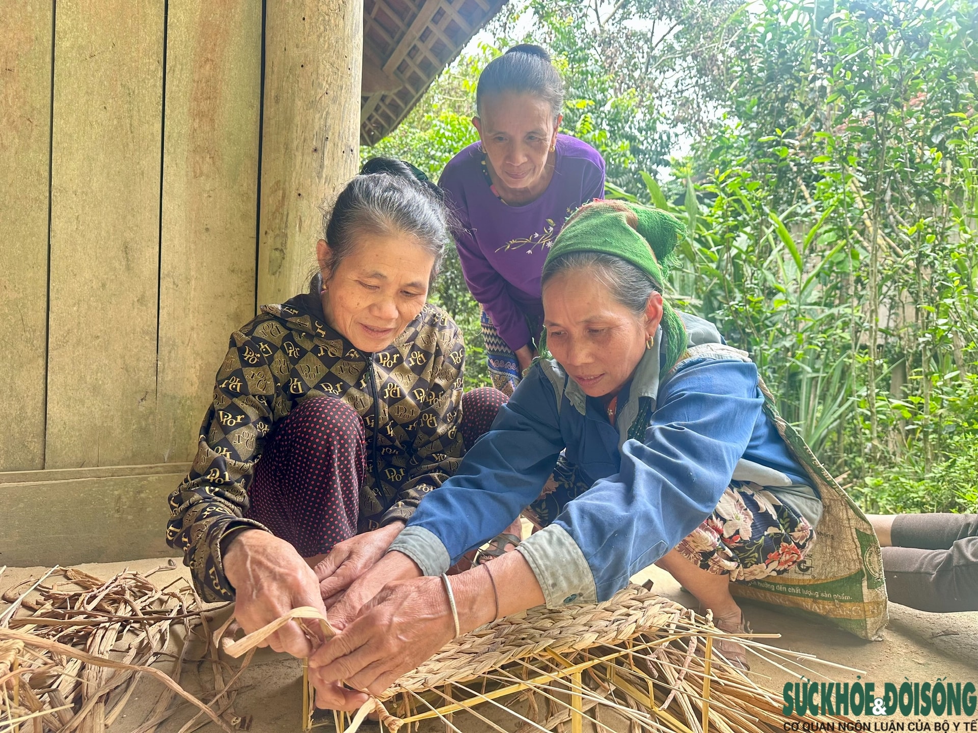 Nghề đan bèo tây… đi Tây- Ảnh 1. Nghề đan bèo tây… đi Tây- Ảnh 1.