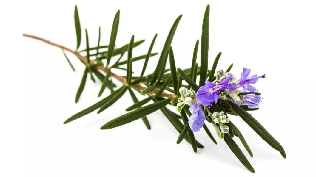 12 gia vị tự nhiên bảo vệ tim, đường huyết và chống ung thư- Ảnh 7.