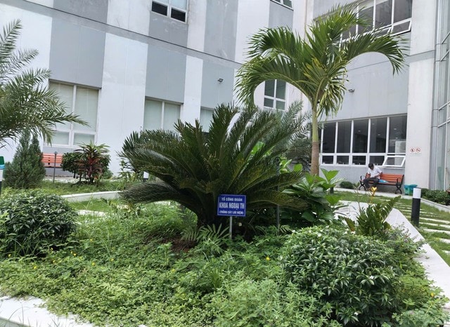 Bệnh viện Đa khoa An Giang, mỗi túi rác, một quy trình an toàn- Ảnh 3.