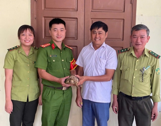 Rùa quý hiếm có nguy cơ tuyệt chủng bò vào nhà dân - Ảnh 1. Rùa quý hiếm có nguy cơ tuyệt chủng bò vào nhà dân - Ảnh 1.