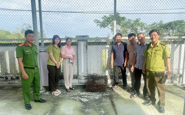 Rùa quý hiếm có nguy cơ tuyệt chủng bò vào nhà dân - Ảnh 3. Rùa quý hiếm có nguy cơ tuyệt chủng bò vào nhà dân - Ảnh 3.