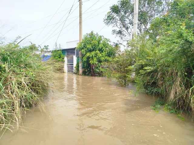 Lũ bất ngờ đổ về trong đêm, nhiều nhà dân ở Lâm Đồng ngập sâu- Ảnh 1. Lũ bất ngờ đổ về trong đêm, nhiều nhà dân ở Lâm Đồng ngập sâu- Ảnh 1.