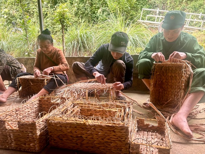 Nghề đan bèo tây… đi Tây- Ảnh 2. Nghề đan bèo tây… đi Tây- Ảnh 2.