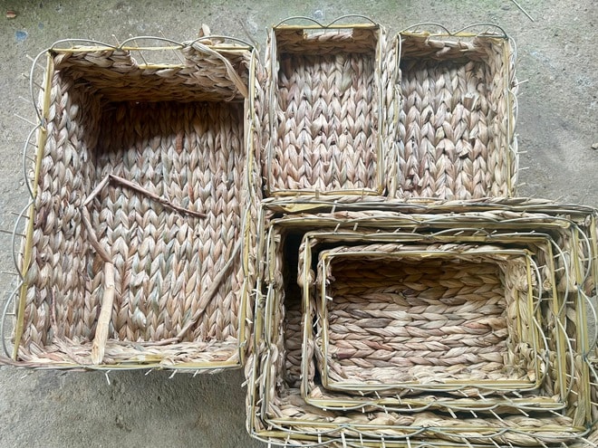 Nghề đan bèo tây… đi Tây- Ảnh 5. Nghề đan bèo tây… đi Tây- Ảnh 5.