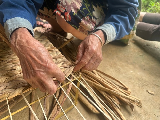 Nghề đan bèo tây… đi Tây- Ảnh 4. Nghề đan bèo tây… đi Tây- Ảnh 4.