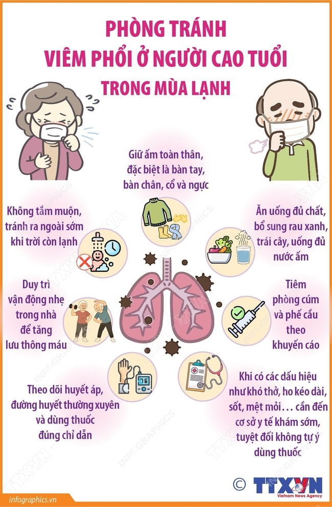 Phòng tránh viêm phổi ở người cao tuổi trong mùa lạnh- Ảnh 1.