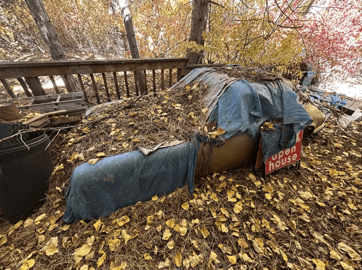 Chiếc Porsche 911 Targa bị bỏ rơi suốt 31 năm, nằm yên dưới lớp lá thông. (Ảnh: Carscoops)