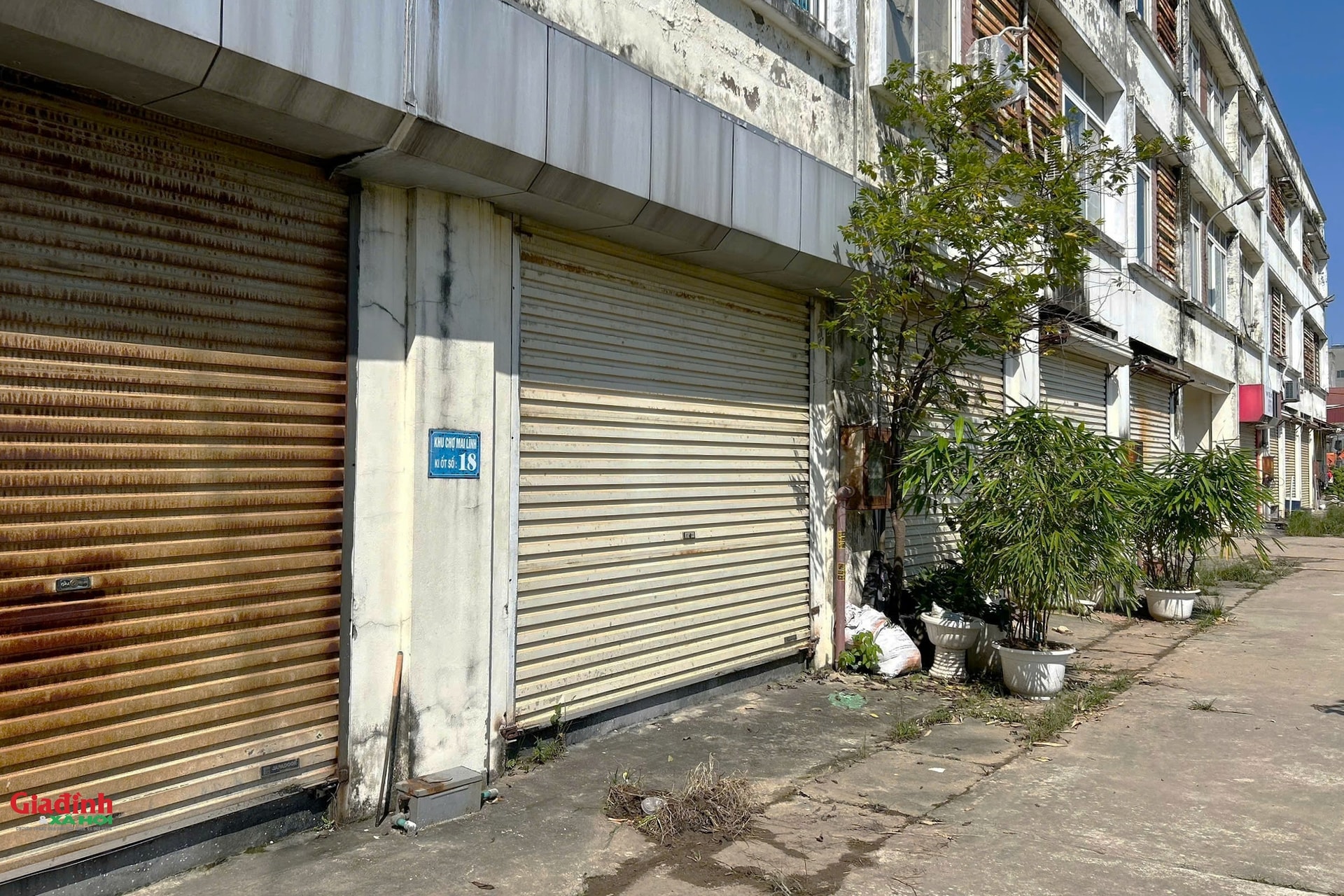 Hà Nội: Hiện trạng khu chợ xây xong rồi bỏ hoang dự kiến được chuyển đổi thành nhà ở xã hội- Ảnh 4.