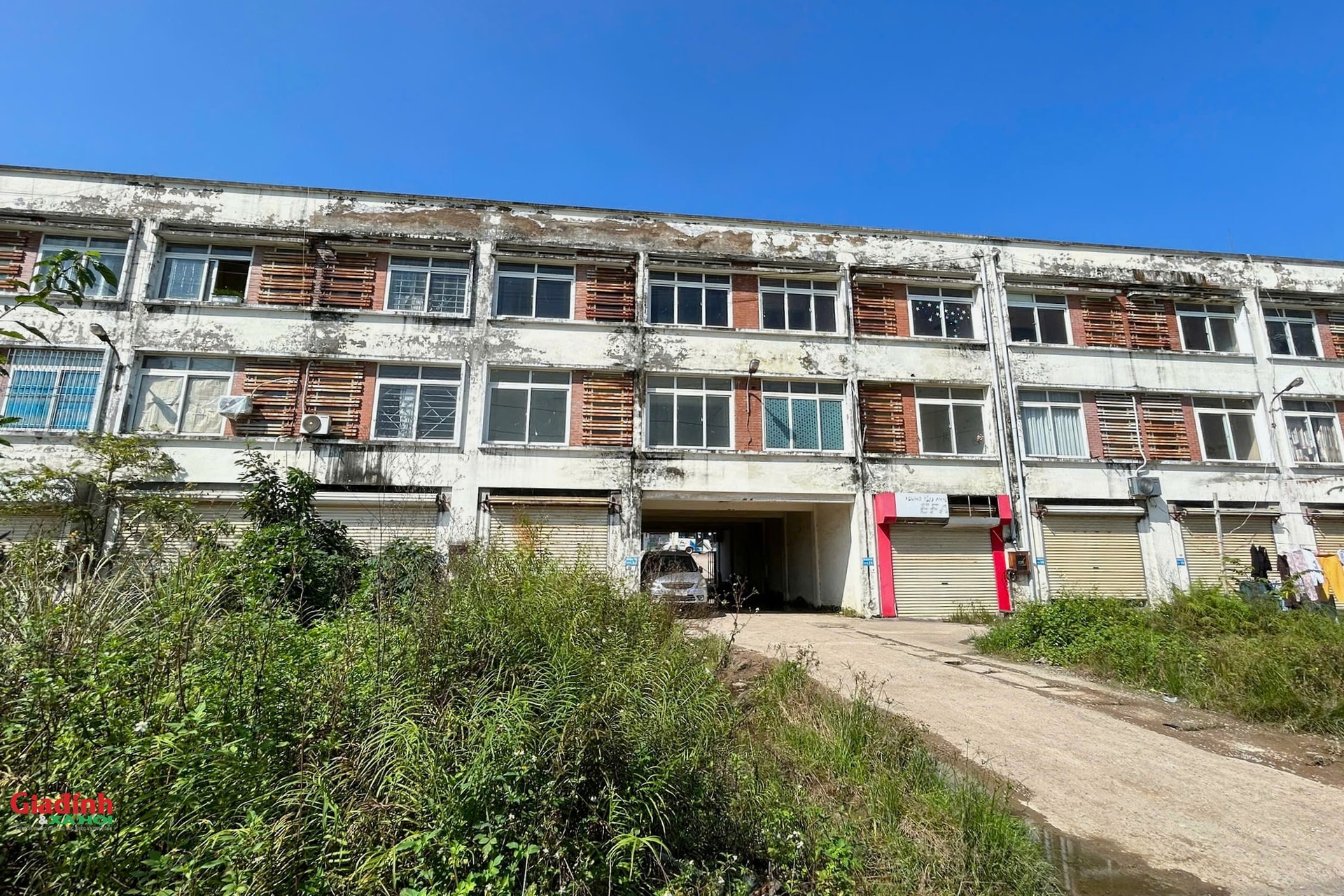 Hà Nội: Hiện trạng khu chợ xây xong rồi bỏ hoang dự kiến được chuyển đổi thành nhà ở xã hội- Ảnh 11.