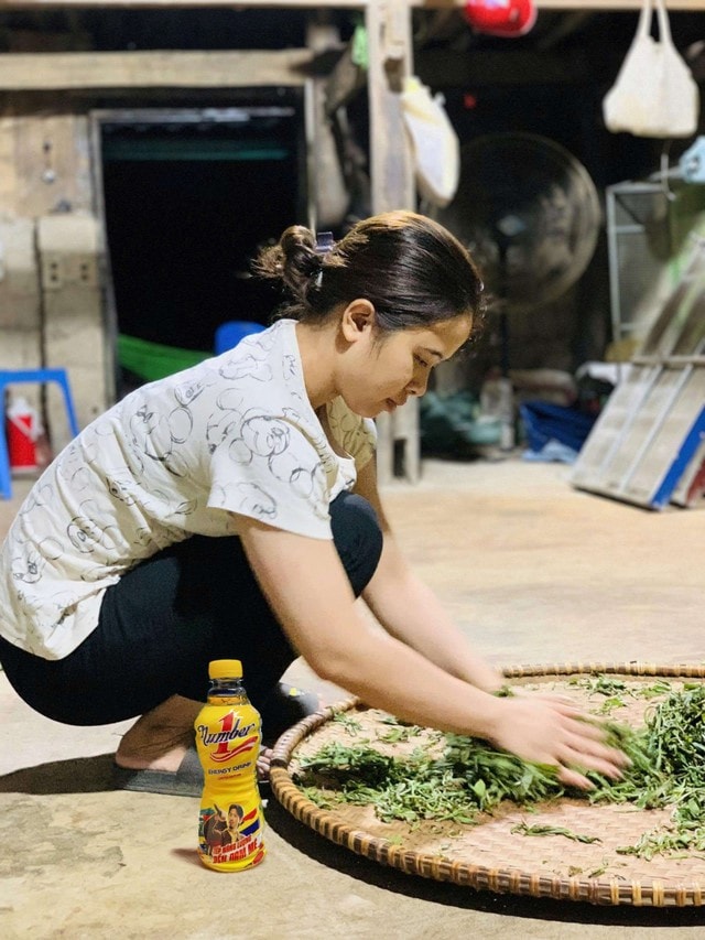 Hành trình biến đam mê trà Shan tuyết thành hiện thực của cô gái 9X- Ảnh 2.