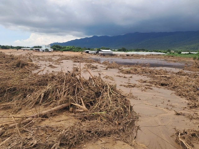 Khởi tố vụ án vỡ hồ chứa nước gây chết người ở Lâm Đồng- Ảnh 2.