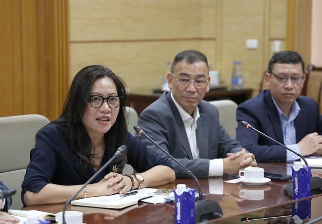 Thứ trưởng Thường trực Bộ Y tế Vũ Mạnh Hà tiếp, làm việc với EuroCham và Pharma Group- Ảnh 10. Thứ trưởng Thường trực Bộ Y tế Vũ Mạnh Hà tiếp, làm việc với EuroCham và Pharma Group- Ảnh 10.