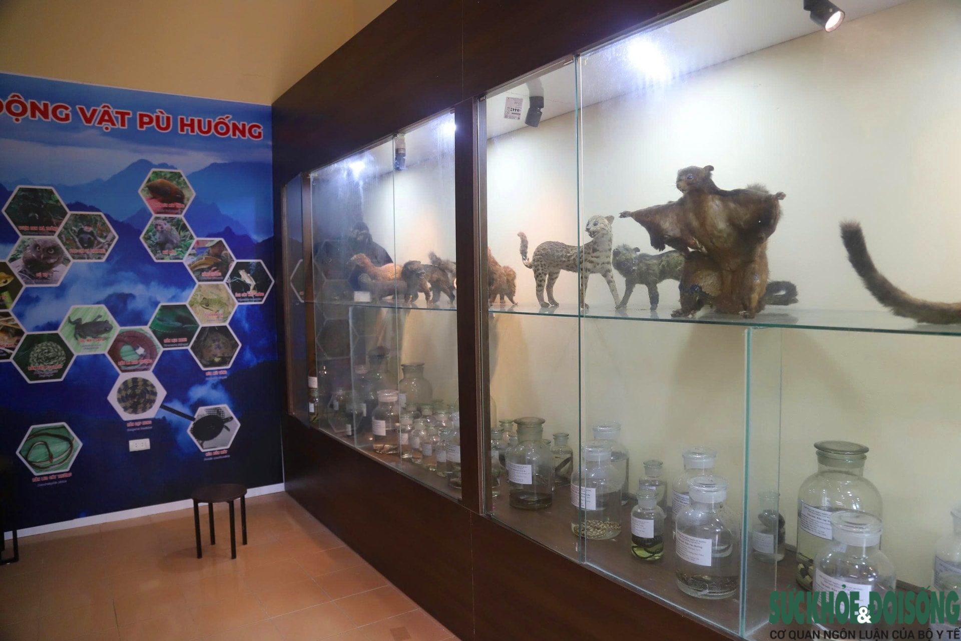 Bên trong bảo tàng lưu giữ nguồn gen quý hiếm của Khu bảo tồn thiên nhiên Pù Huống- Ảnh 1.