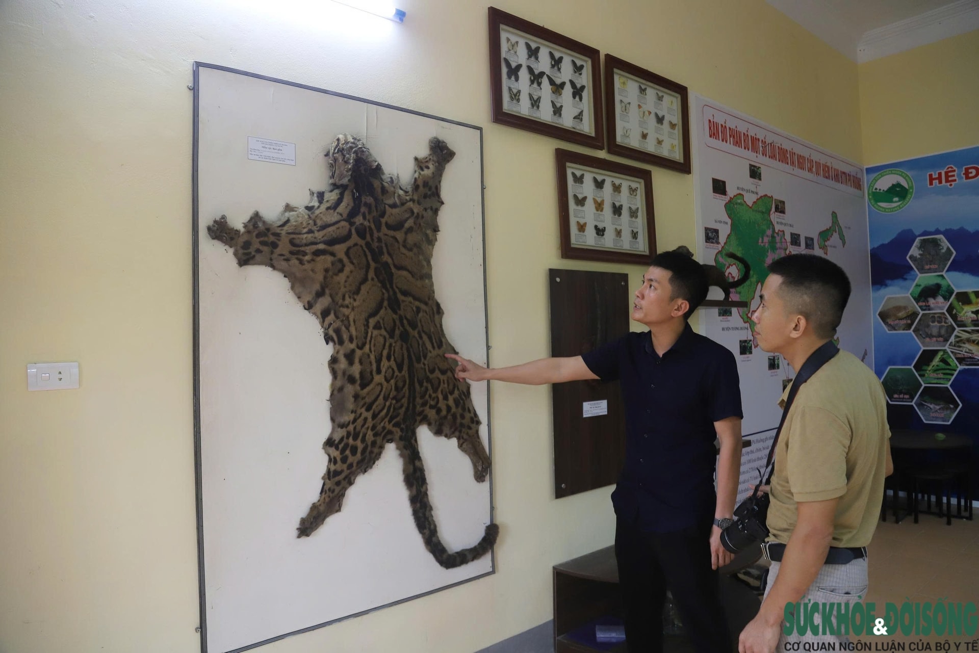 Bên trong bảo tàng lưu giữ nguồn gen quý hiếm của Khu bảo tồn thiên nhiên Pù Huống- Ảnh 4.