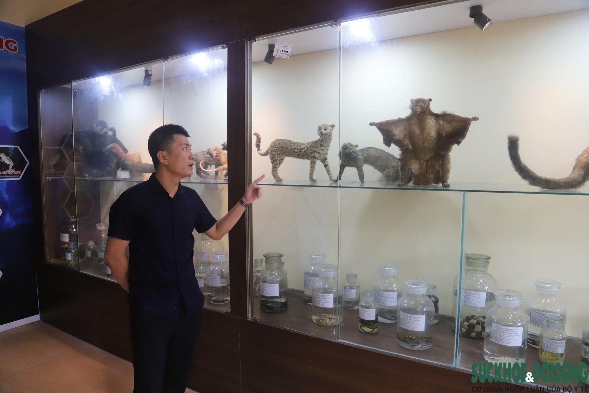 Bên trong bảo tàng lưu giữ nguồn gen quý hiếm của Khu bảo tồn thiên nhiên Pù Huống- Ảnh 5.