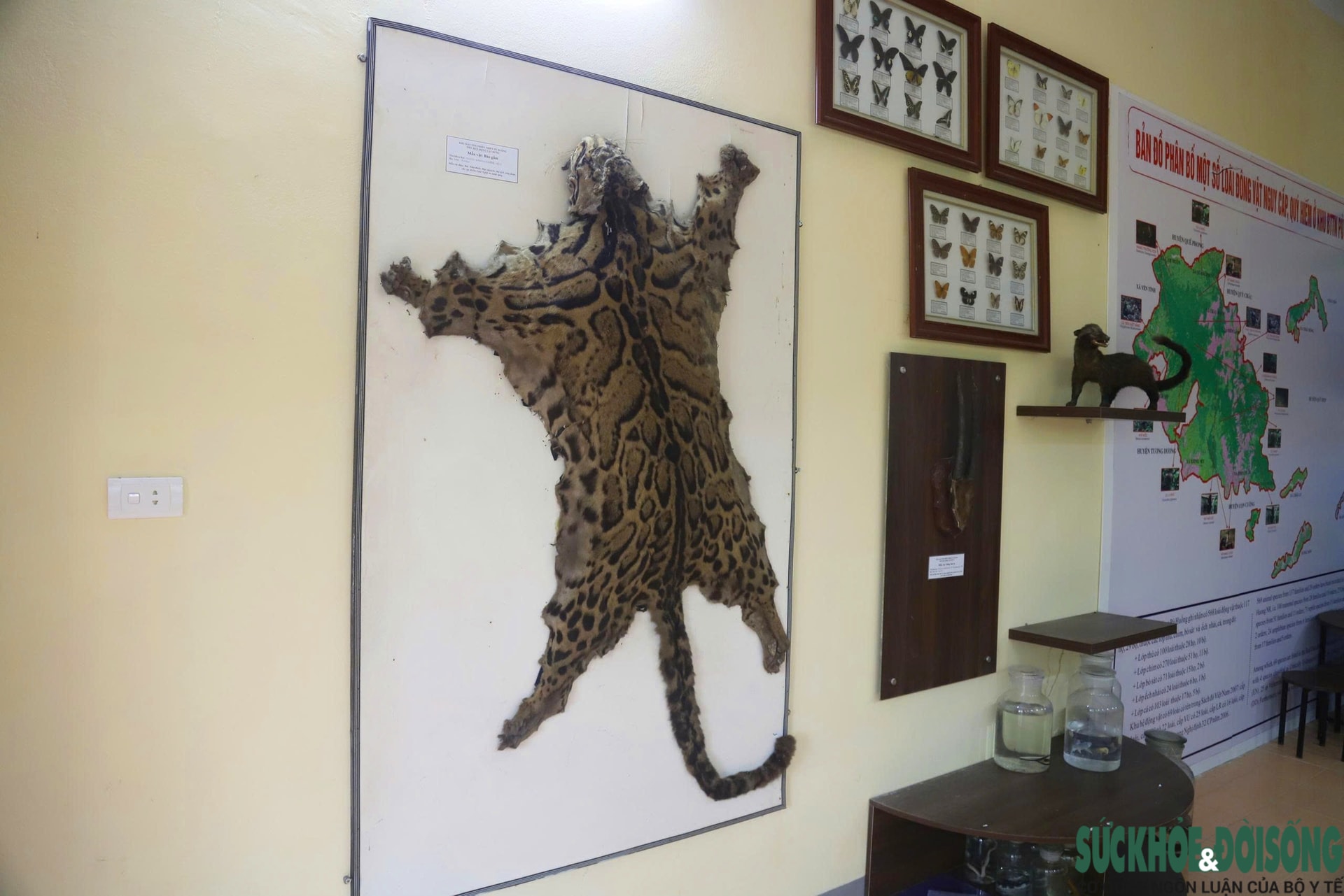 Bên trong bảo tàng lưu giữ nguồn gen quý hiếm của Khu bảo tồn thiên nhiên Pù Huống- Ảnh 9.