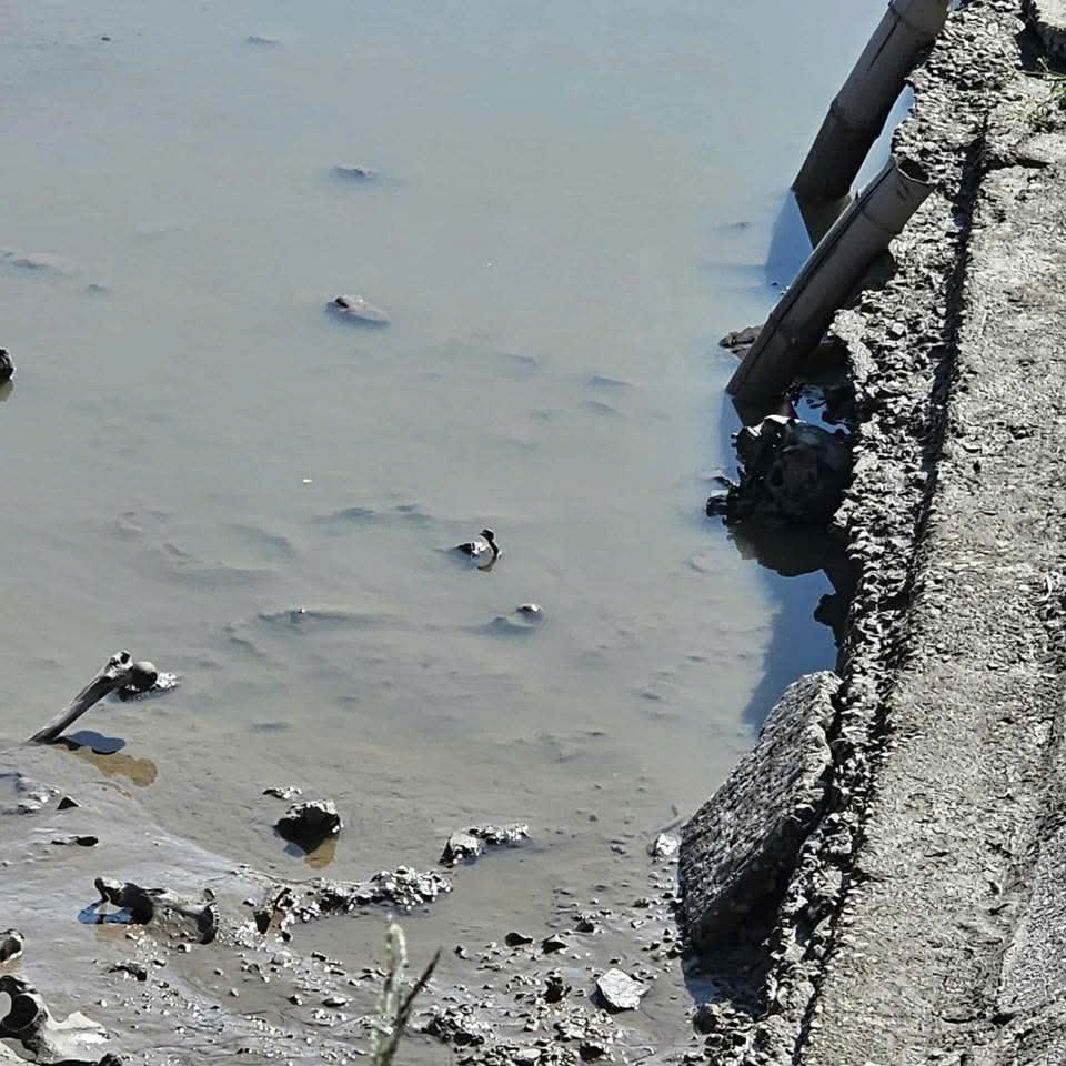 Hải Phòng: Phát hiện bộ xương người dưới lớp bùn ao cá- Ảnh 1. Hải Phòng: Phát hiện bộ xương người dưới lớp bùn ao cá- Ảnh 1.