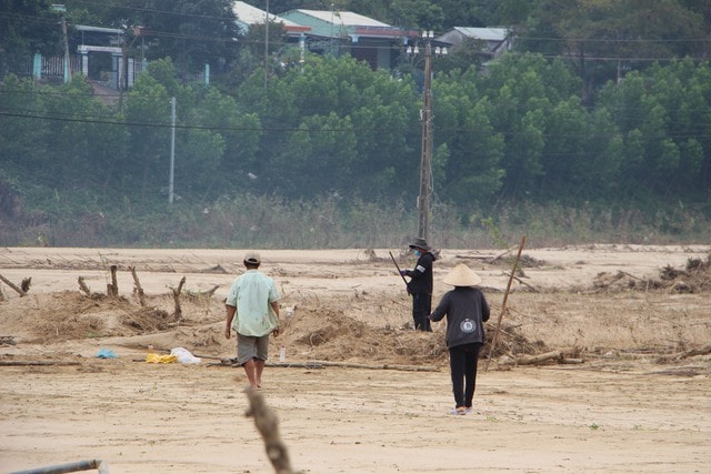 Lũ lịch sử xóa sổ nhiều cánh đồng xanh, để lại những mảnh ruộng hoang tàn- Ảnh 1. Lũ lịch sử xóa sổ nhiều cánh đồng xanh, để lại những mảnh ruộng hoang tàn- Ảnh 1.