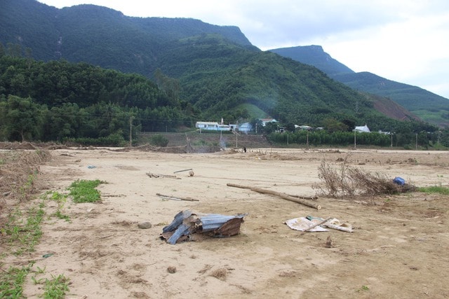 Lũ lịch sử xóa sổ nhiều cánh đồng xanh, để lại những mảnh ruộng hoang tàn- Ảnh 4. Lũ lịch sử xóa sổ nhiều cánh đồng xanh, để lại những mảnh ruộng hoang tàn- Ảnh 4.