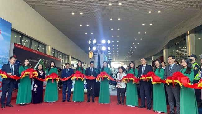 Hội nhãn khoa Việt Nam tiên phong ứng dụng công nghệ vào chuyên môn- Ảnh 5.