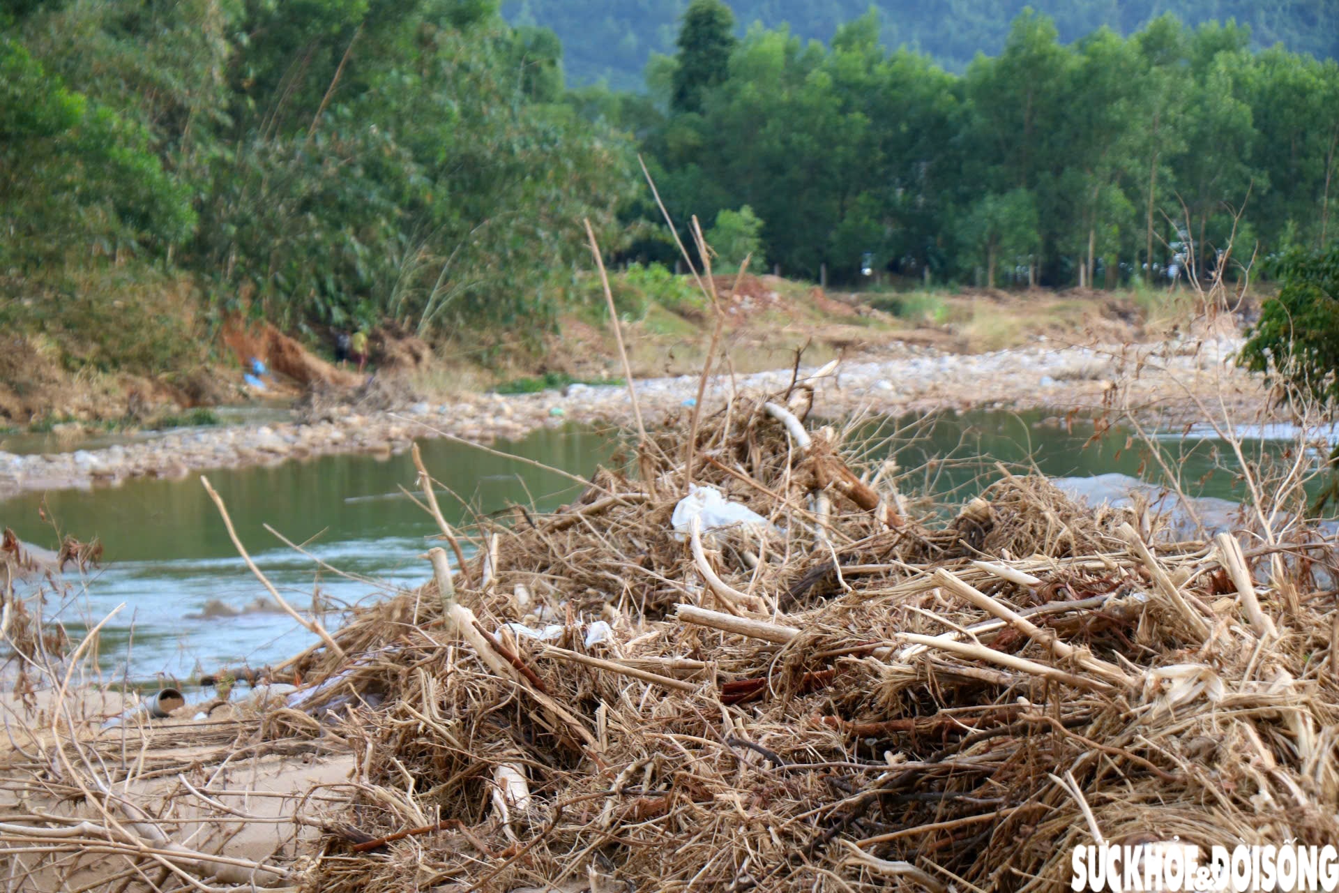 Dòng suối dưới chân Bạch Mã xác xơ sau lũ- Ảnh 2. Dòng suối dưới chân Bạch Mã xác xơ sau lũ- Ảnh 2.