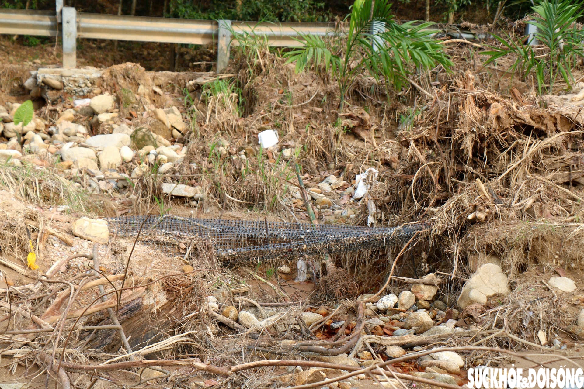 Dòng suối dưới chân Bạch Mã xác xơ sau lũ- Ảnh 6. Dòng suối dưới chân Bạch Mã xác xơ sau lũ- Ảnh 6.