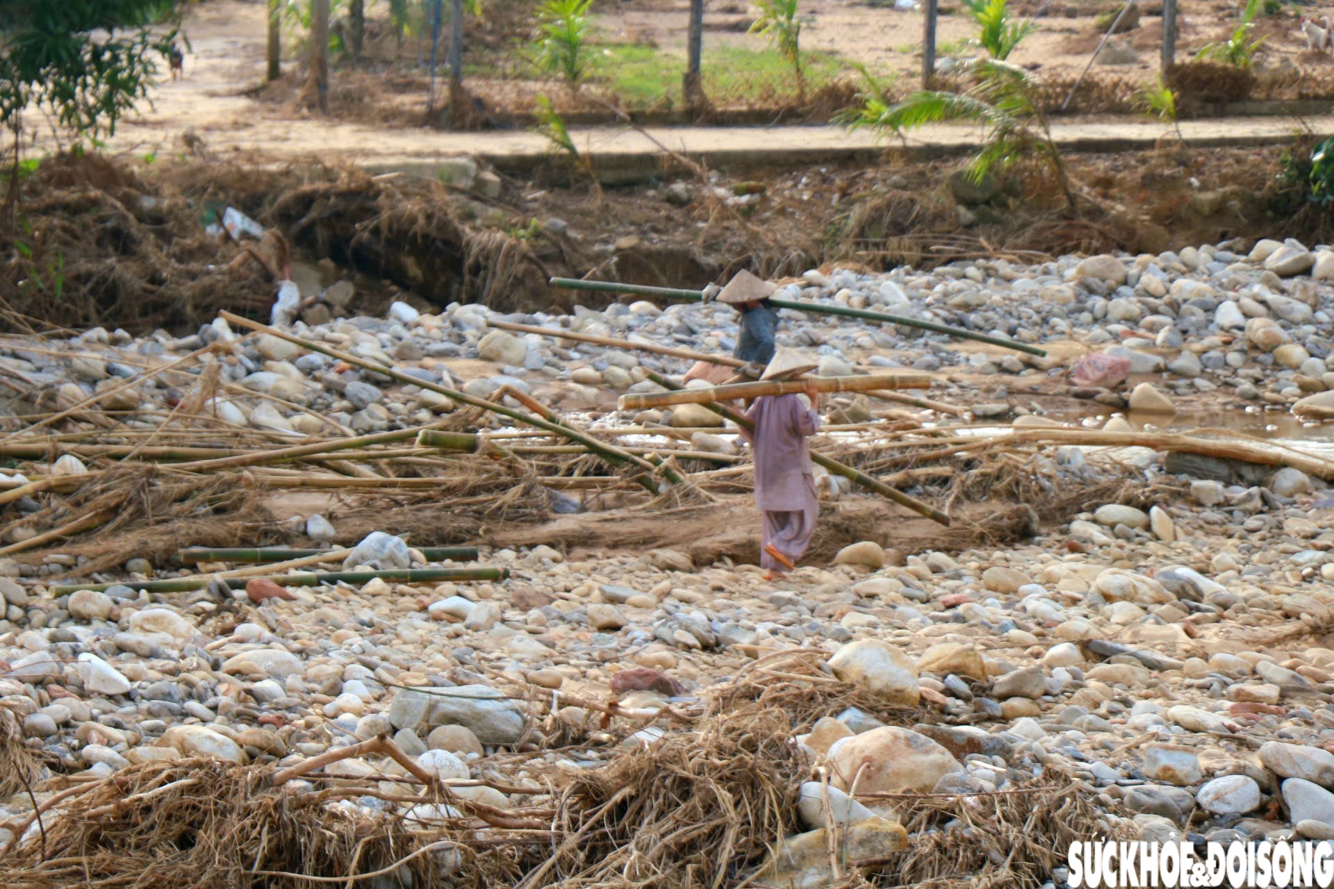 Dòng suối dưới chân Bạch Mã xác xơ sau lũ- Ảnh 10. Dòng suối dưới chân Bạch Mã xác xơ sau lũ- Ảnh 10.