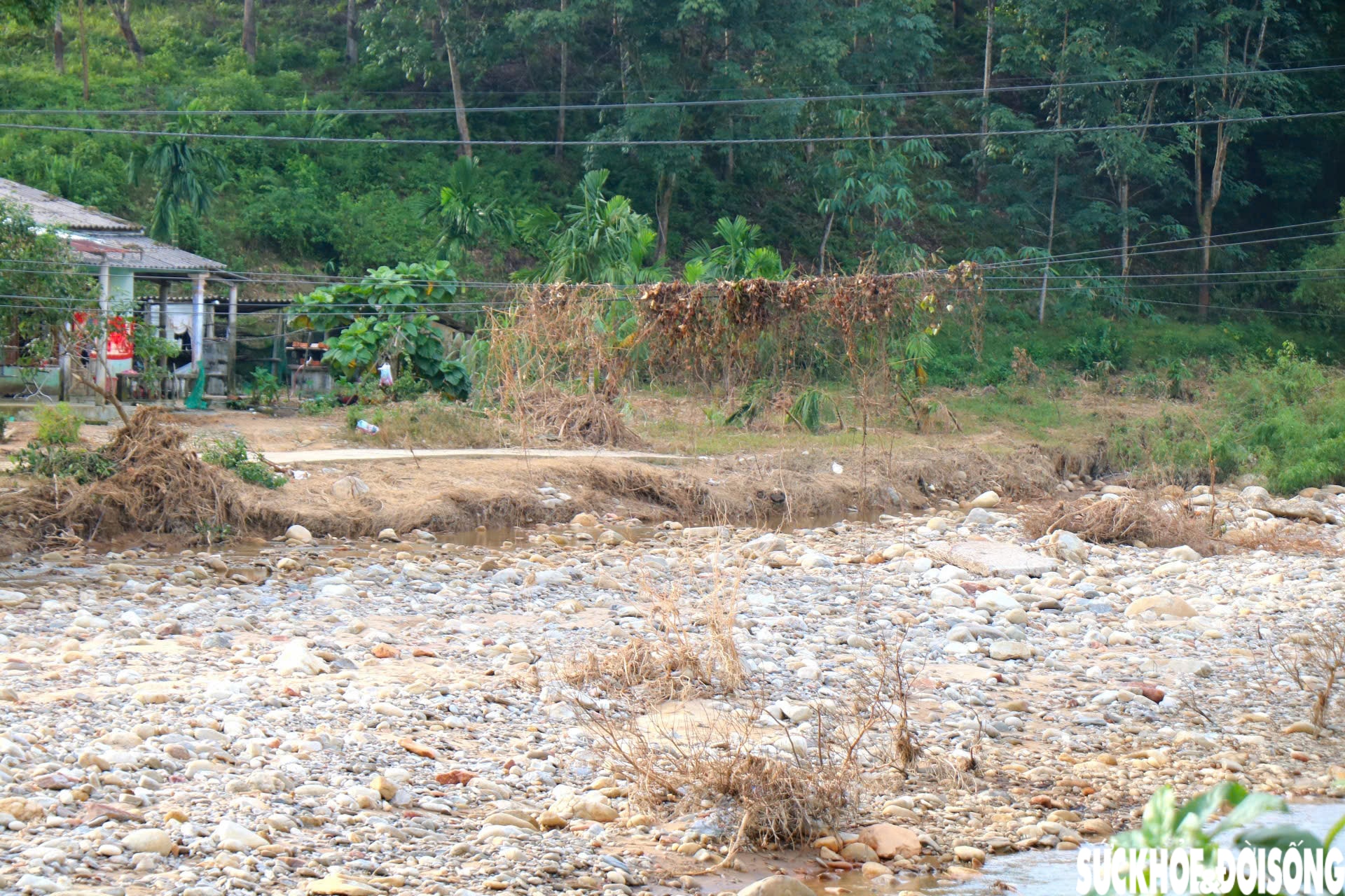 Dòng suối dưới chân Bạch Mã xác xơ sau lũ- Ảnh 12. Dòng suối dưới chân Bạch Mã xác xơ sau lũ- Ảnh 12.