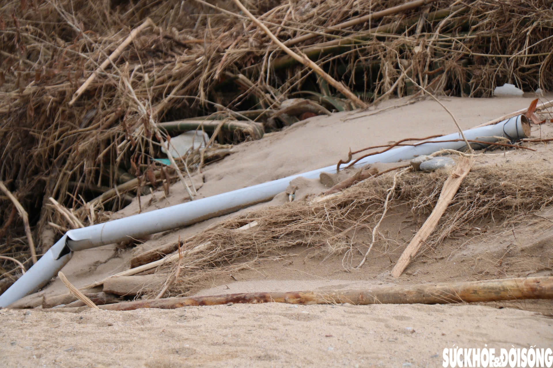 Dòng suối dưới chân Bạch Mã xác xơ sau lũ- Ảnh 13. Dòng suối dưới chân Bạch Mã xác xơ sau lũ- Ảnh 13.