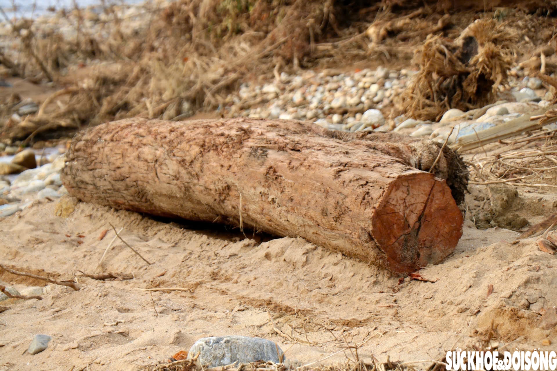 Dòng suối dưới chân Bạch Mã xác xơ sau lũ- Ảnh 8. Dòng suối dưới chân Bạch Mã xác xơ sau lũ- Ảnh 8.
