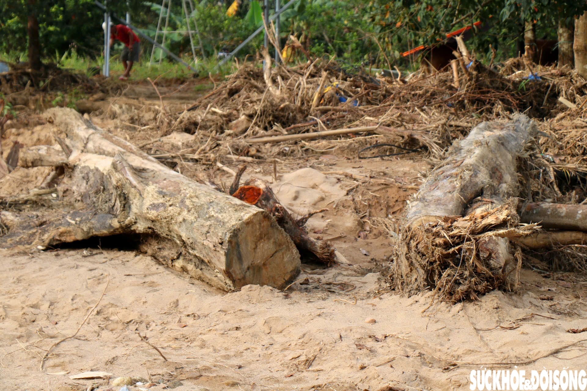Dòng suối dưới chân Bạch Mã xác xơ sau lũ- Ảnh 9. Dòng suối dưới chân Bạch Mã xác xơ sau lũ- Ảnh 9.
