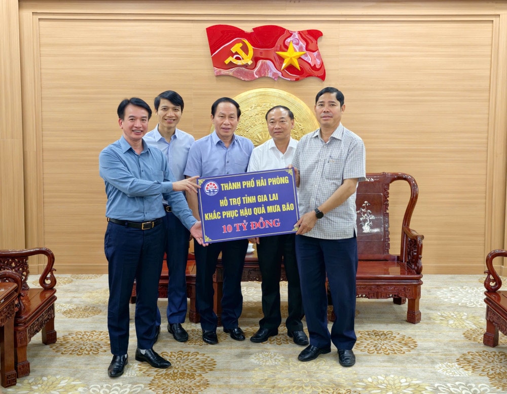 Hải Phòng hỗ trợ người dân Đắc Lắk, Gia Lai khắc phục hậu quả bão số 13- Ảnh 3.