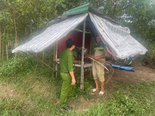 Giải cứu chim trời, thu giữ hàng chục nghìn mét lưới tận diệt- Ảnh 3.