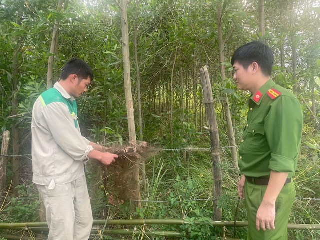 Giải cứu chim trời, thu giữ hàng chục nghìn mét lưới tận diệt- Ảnh 2.