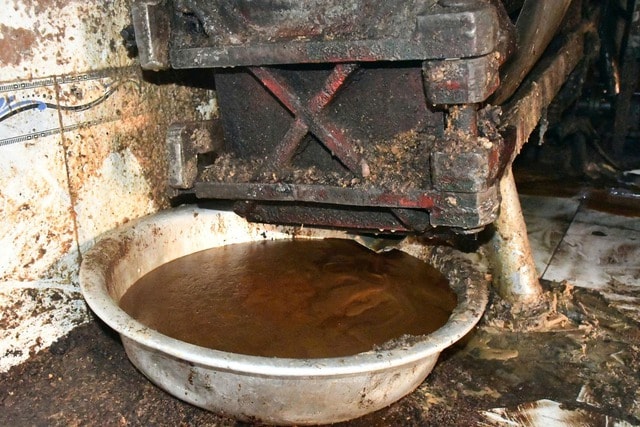 Phát hiện công nhân đang chế biến mỡ động vật trong khu nghĩa trang- Ảnh 2. Phát hiện công nhân đang chế biến mỡ động vật trong khu nghĩa trang- Ảnh 2.