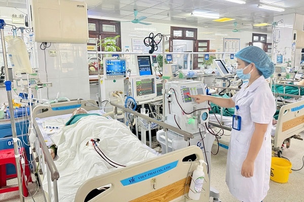 Cấp cứu, điều trị thành công bệnh nhân suy đa tạng do ong vò vẽ đốt- Ảnh 1.